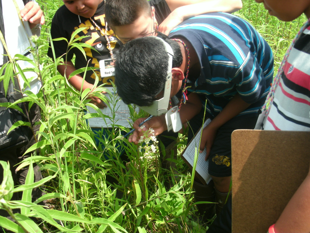 Children examining a rare prairie wildflower as part of the COOL Learning Experience summer program.