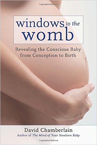 window-to-the-womb-image