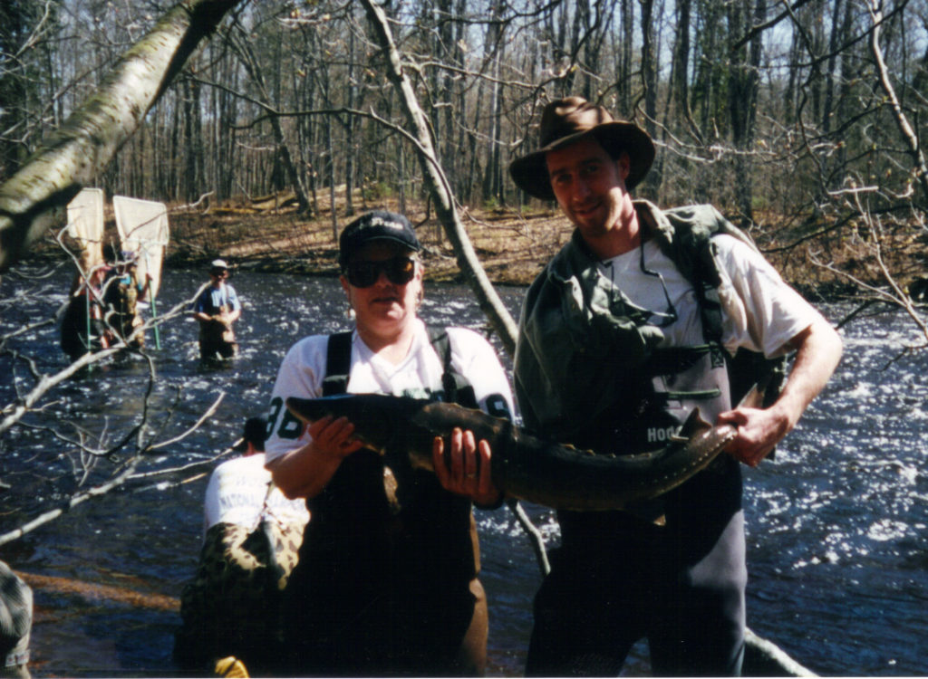 Marty Holtgreen and another person hold a lake sturgeon fish while standing in the Big Manistee River.