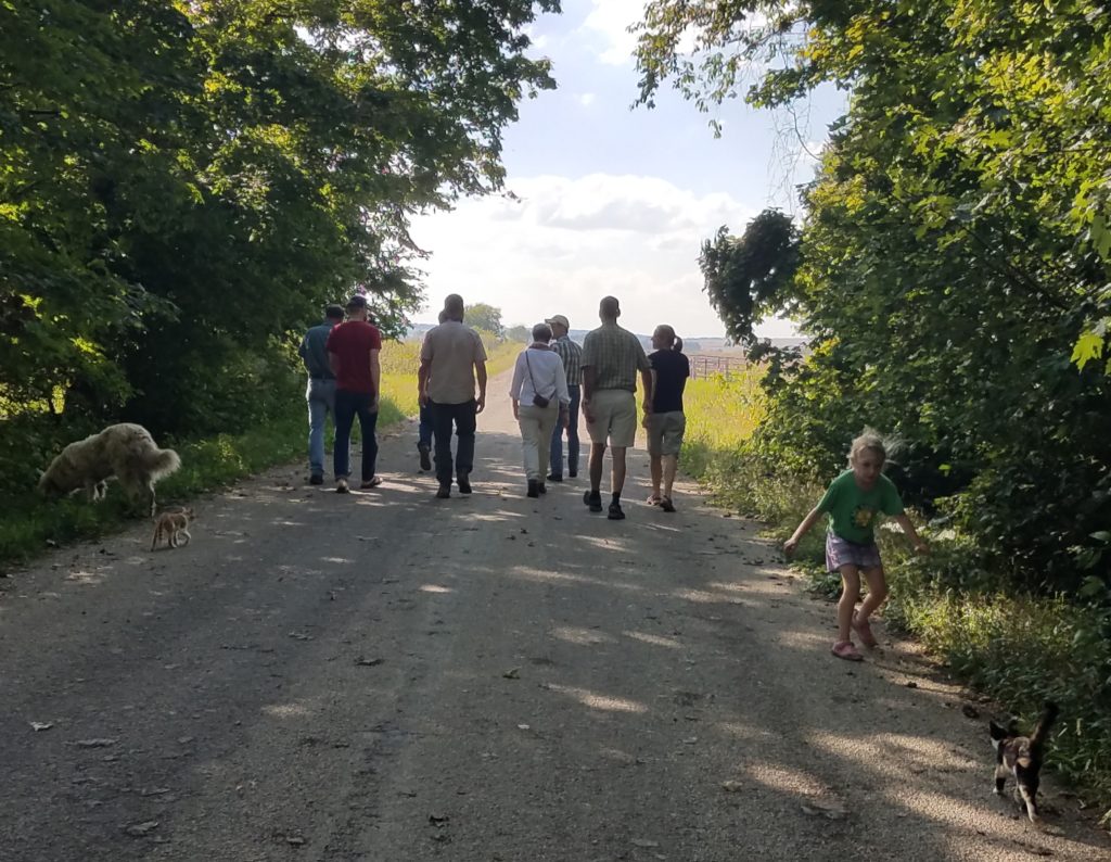 Group of people from the gathering walk down Riemer Road