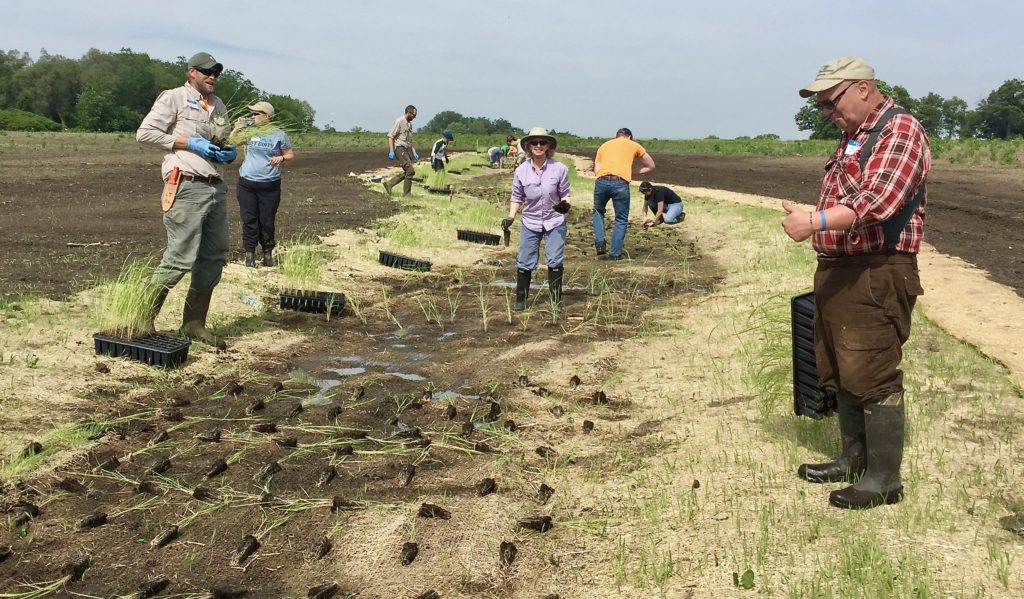 People standing and planting in former farm field