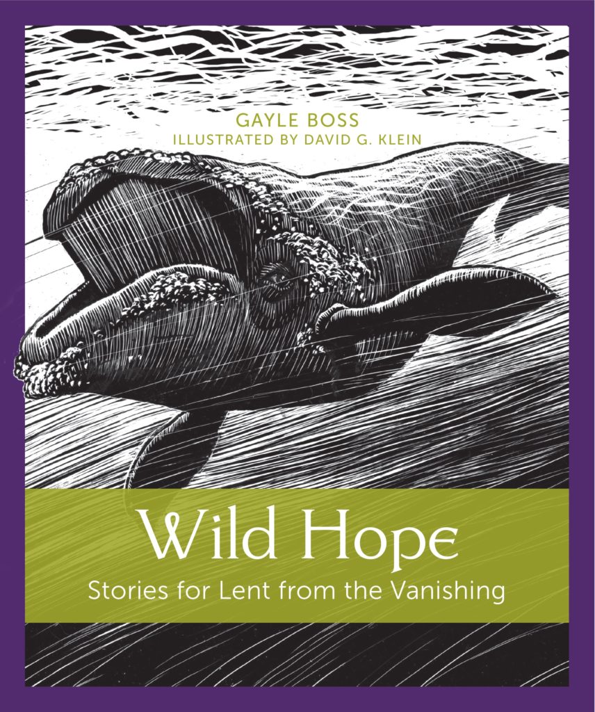 Cover of Wild Hope