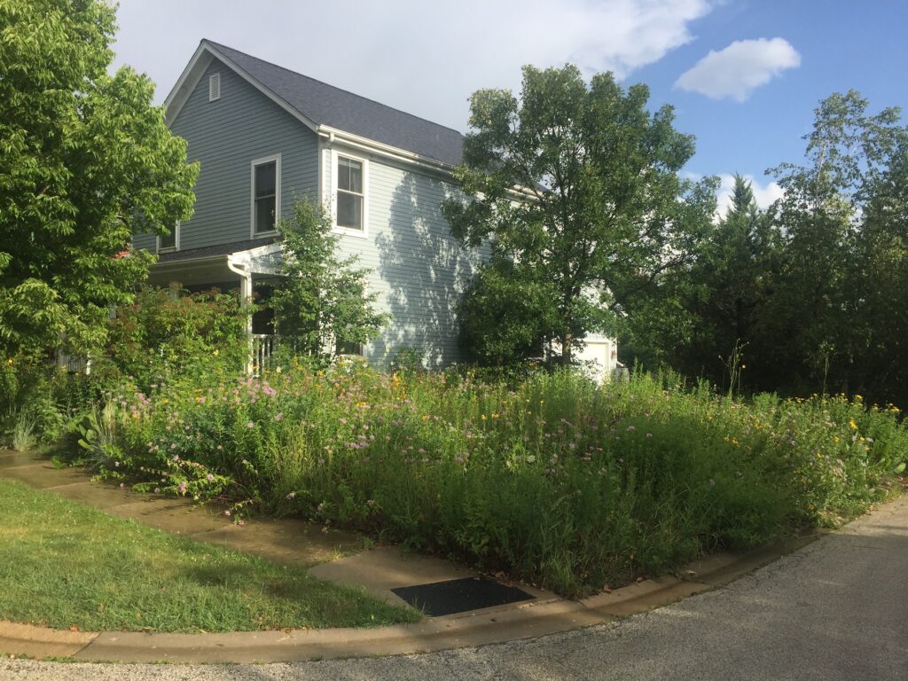 Image of Nathan's home with native plants and prairie habitat using most of space