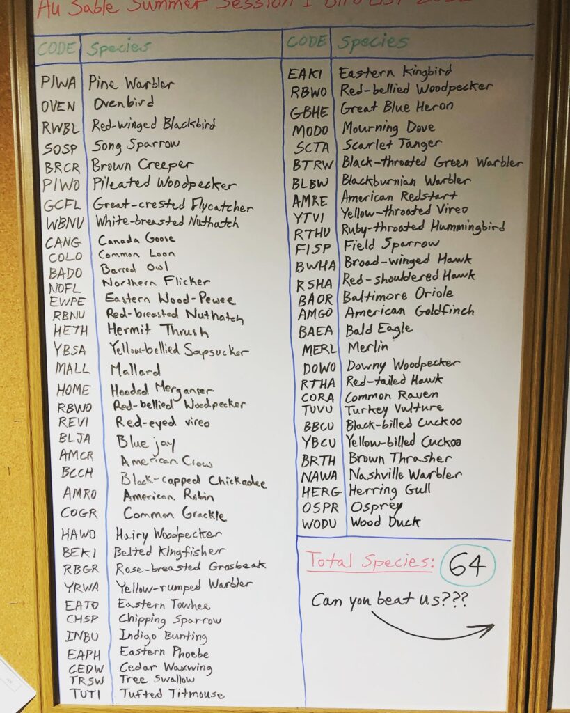 White board with bird names listed